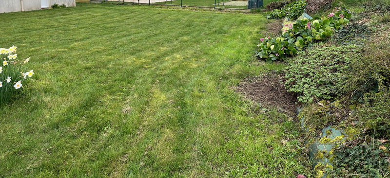 Maison - 59 m² - 2 pièces