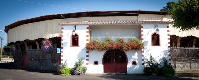 Novilladas des Fêtes