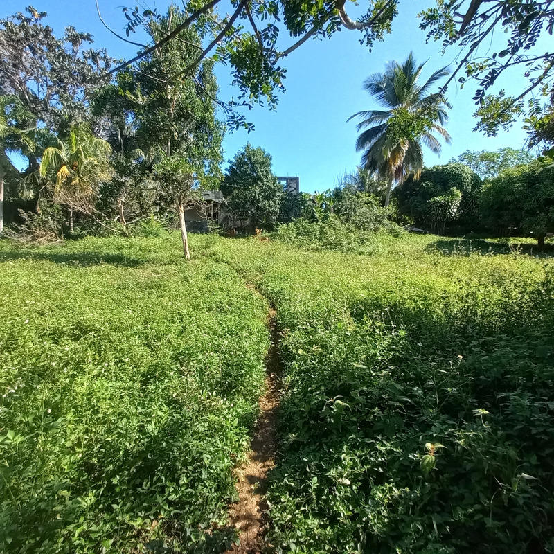 Maison - 103 m² - 4 pièces