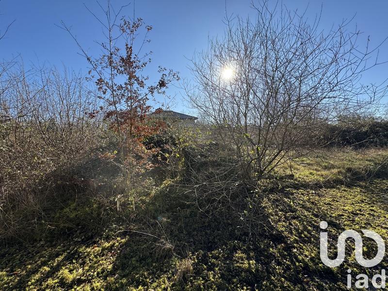 Immeuble - 2 228 m²