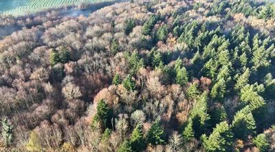 Terrain de loisirs - 146 173 m²