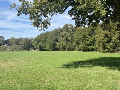 Terrain - 10 940 m²