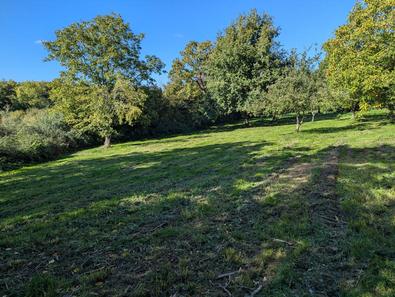 Maison - 65 m² - 3 pièces