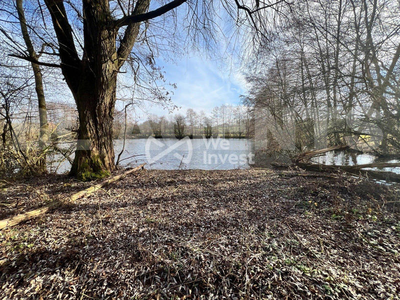 Terrain - 11 640 m²