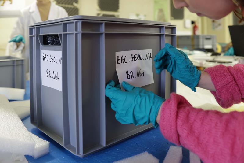 Conférence - le Grand Déménagement du Musée St-Loup