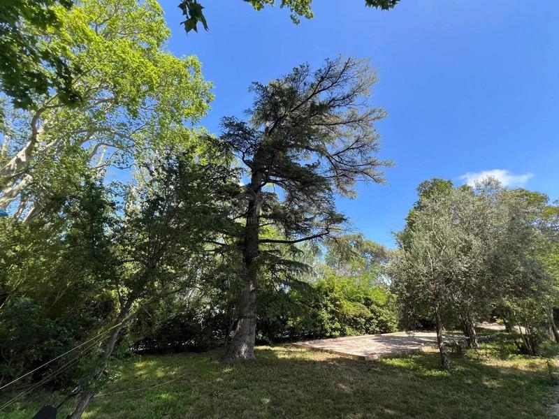 Maison - 300 m² - 11 pièces