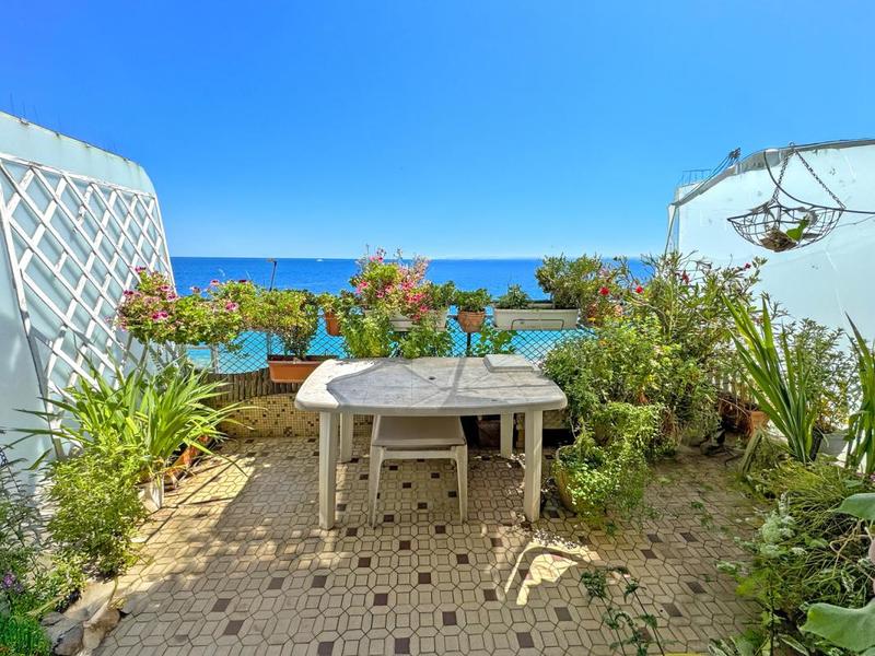 Appartement - 50 m² - 1 pièce