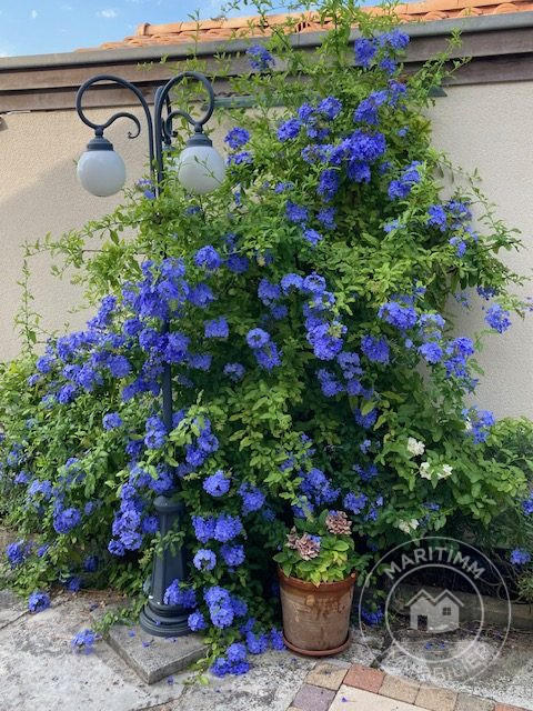 Maison ancienne - 130 m² - 6 pièces