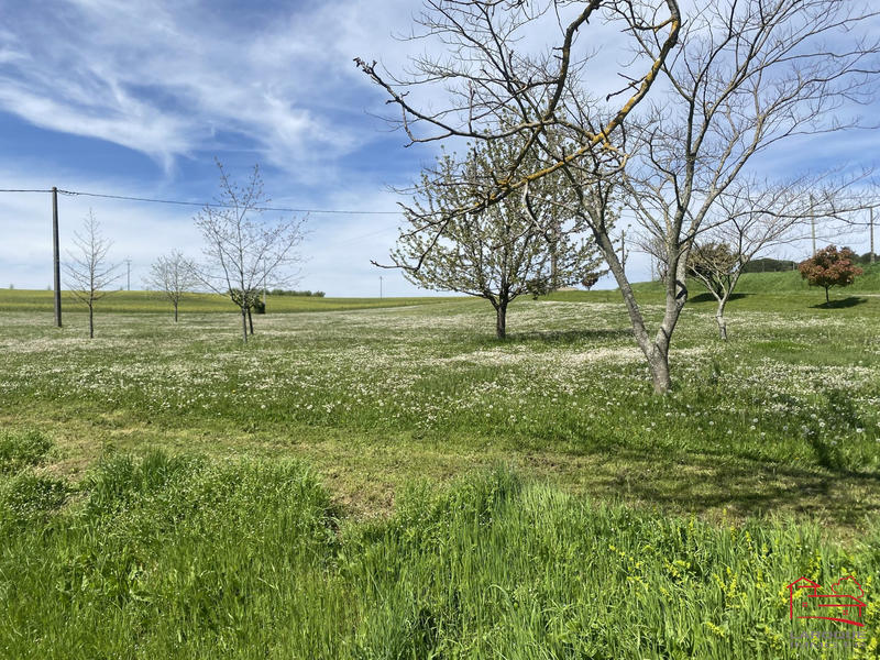 Maison - 239 m² - 5 pièces