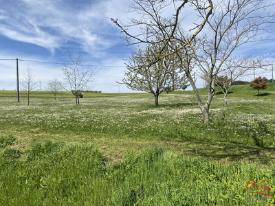 Maison - 239 m² - 5 pièces