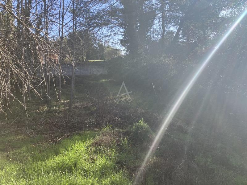 Terrain constructible - 11 000 m²