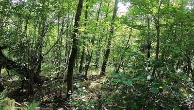 Maison traditionnelle - 212 m² - 7 pièces