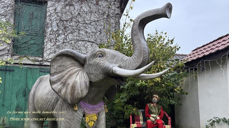 Le monde enchanté de la Ferme aux Mille Lumières 2025 à Fitilieu