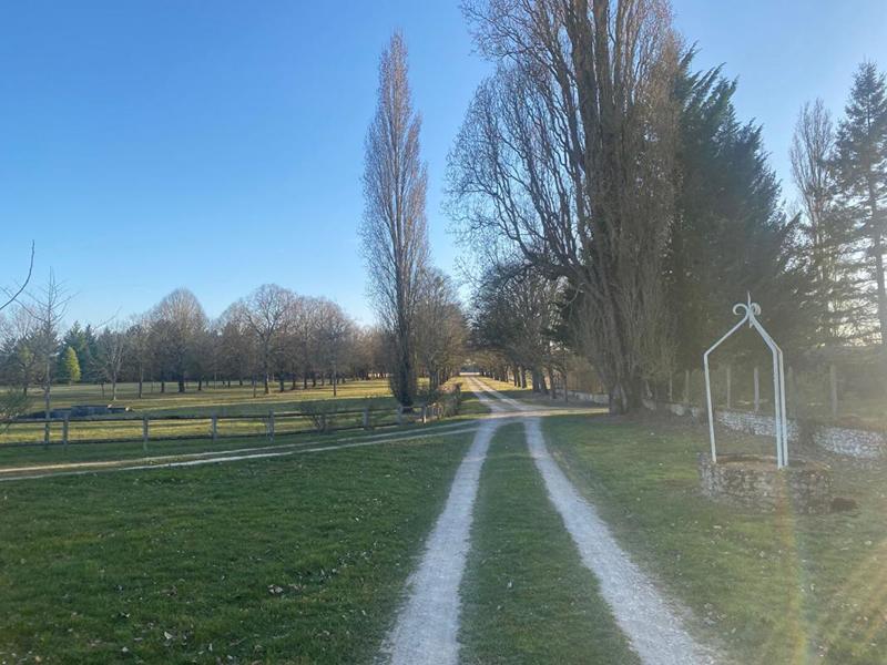 Propriété - 480 m² - 15 pièces