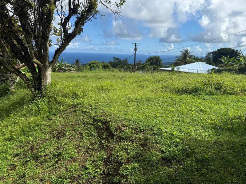 Terrain constructible - 1 389 m²