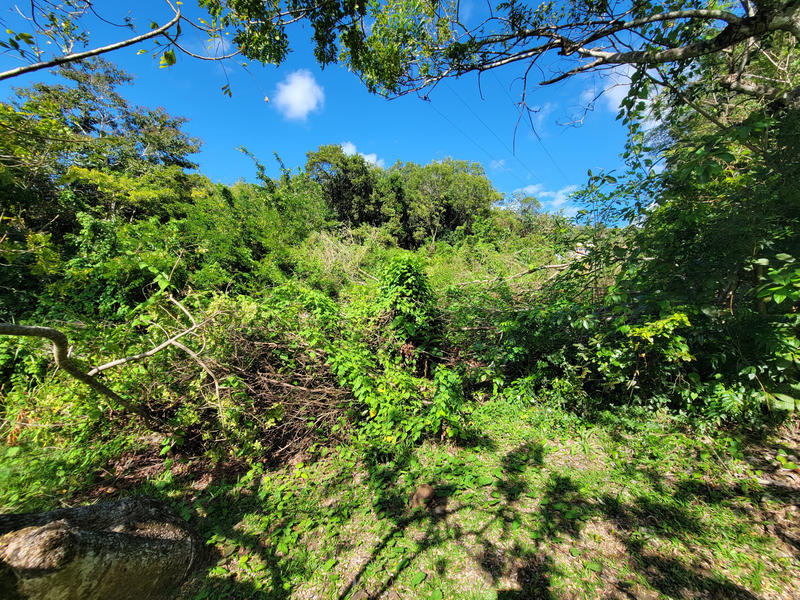 Terrain - 18 170 m²