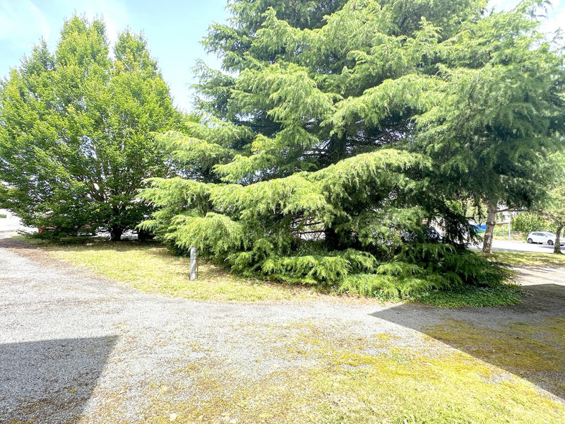 Appartement - 29 m² - 1 pièce