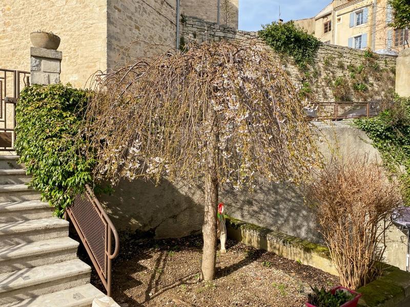 Appartement - 92 m² - 4 pièces