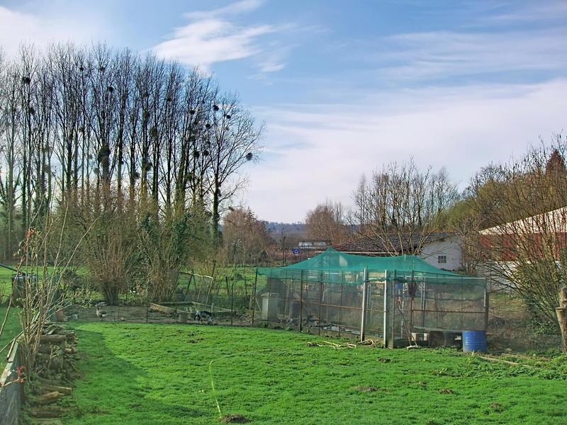 Maison - 97 m² - 4 pièces