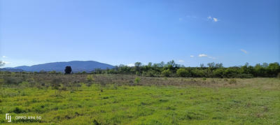 Terrain - 315 m²