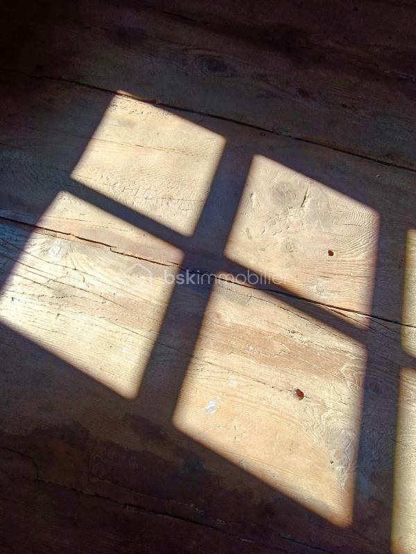 Hôtel particulier - 247 m² - 6 pièces