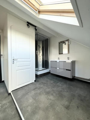 Loft - 49 m² - 2 pièces