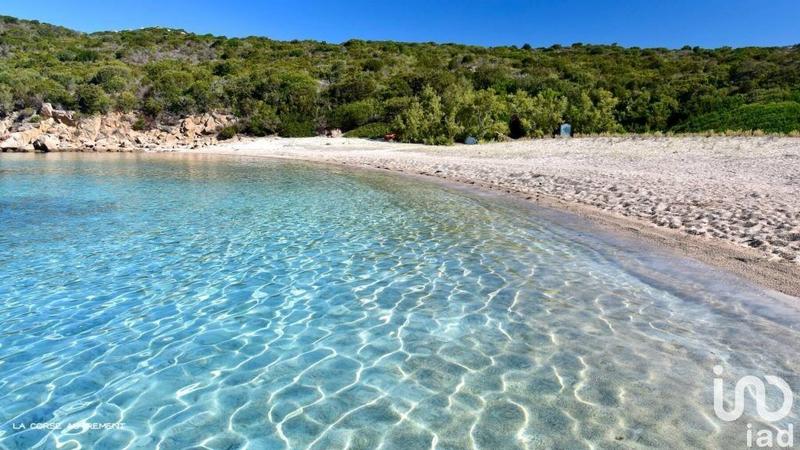 Appartement - 53 m² - 2 pièces