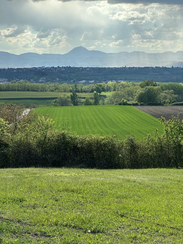 Terrain constructible - 1 500 m²