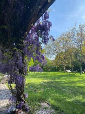 Château - 800 m² - 11 pièces