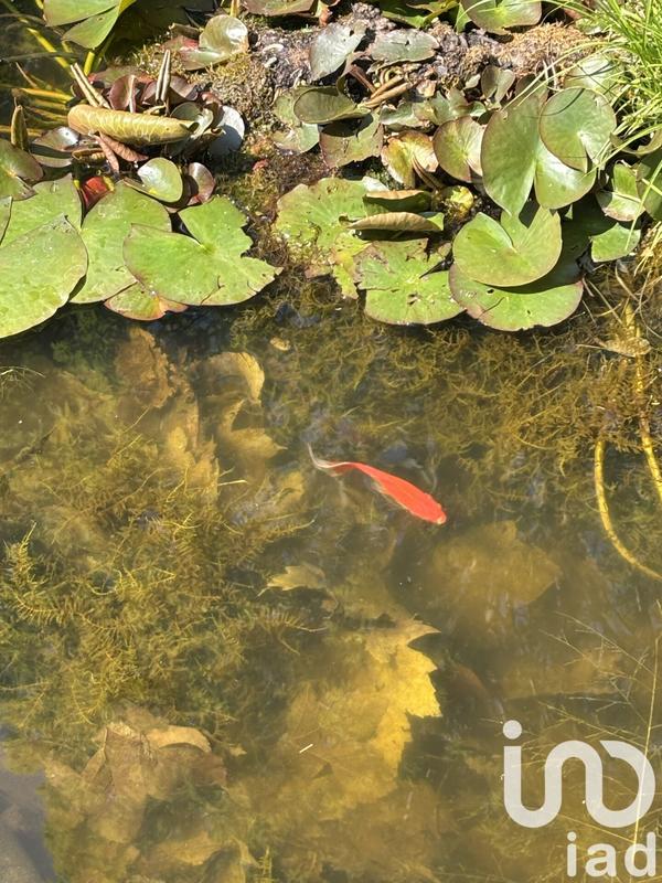 Maison - 340 m² - 10 pièces