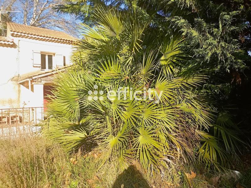 Mas - 215 m² - 9 pièces