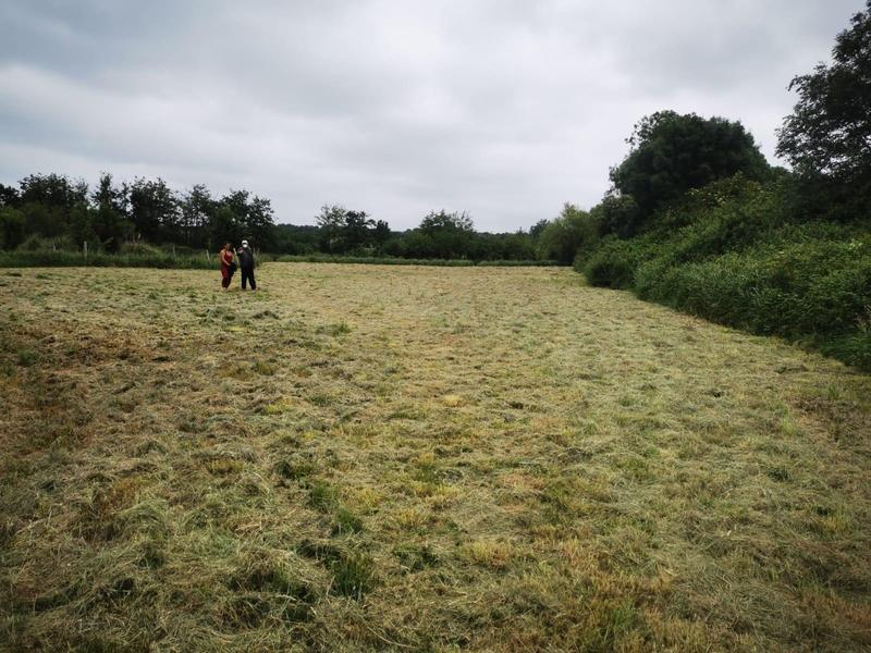 Terrain de loisirs - 9 295 m²