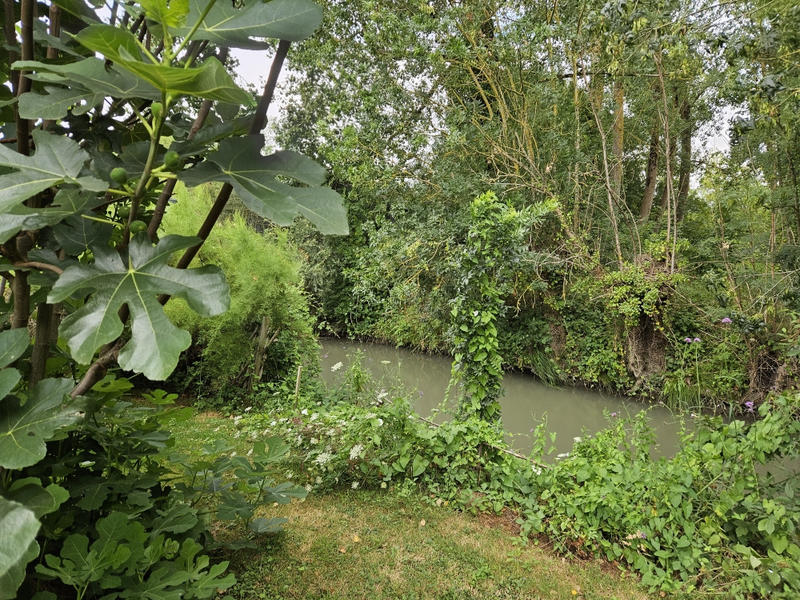 Maison - 245 m² - 5 pièces