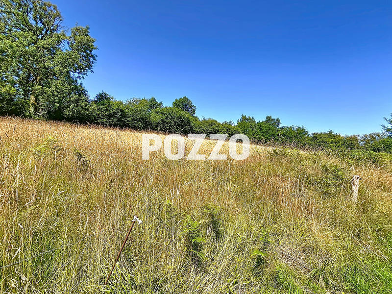 Terrain - 14 983 m²