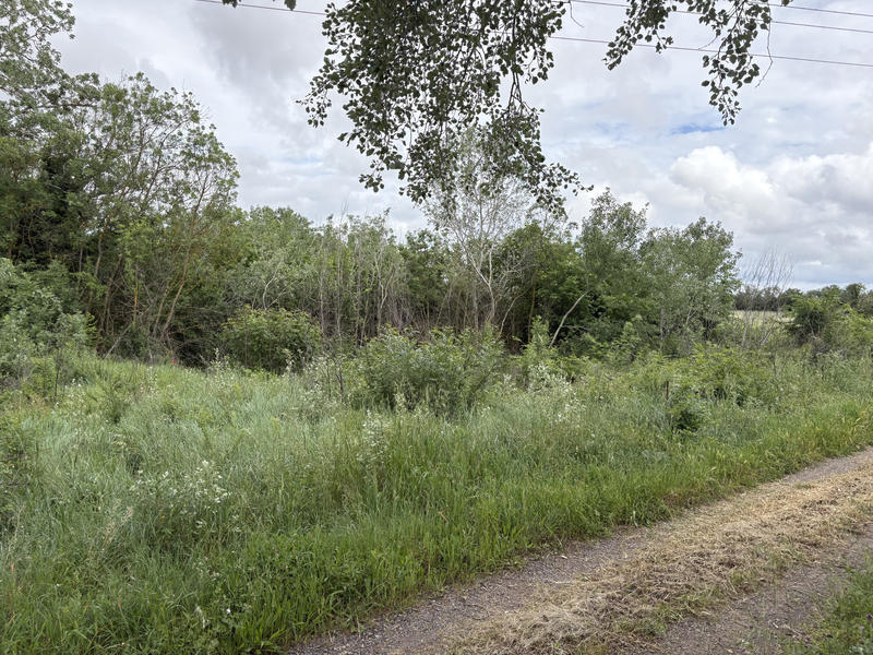 Terrain de loisirs - 3 800 m²