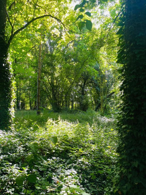 Maison - 359 m² - 11 pièces