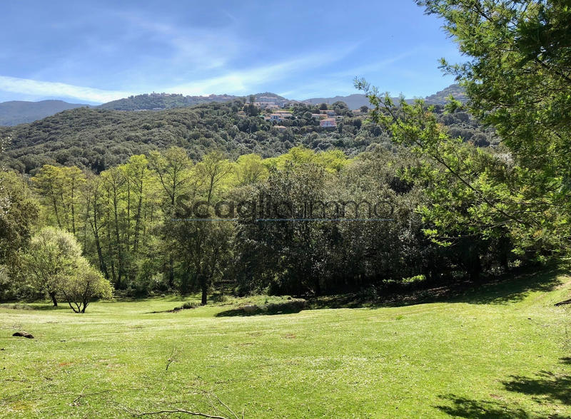 Maison - 246 m² - 9 pièces