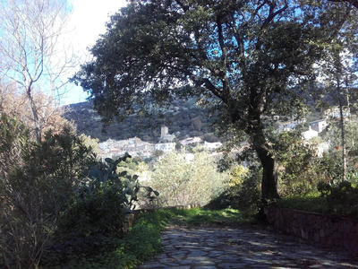 Propriété - 223 m² - 7 pièces