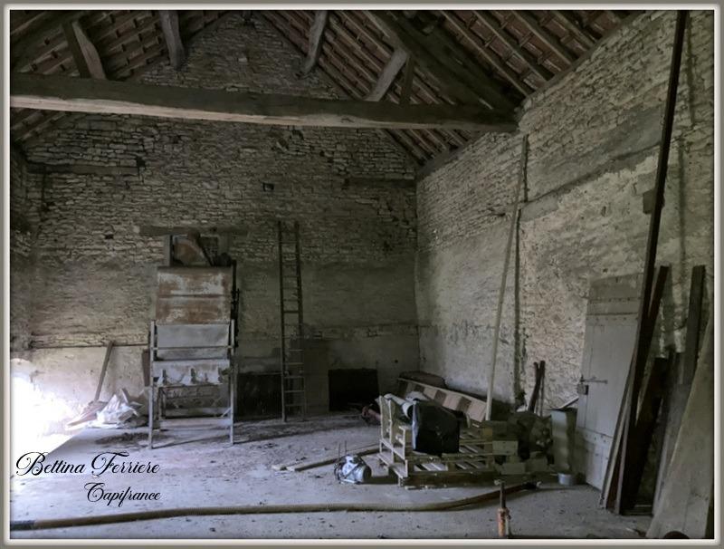 Hangar - 254 m² - 5 pièces