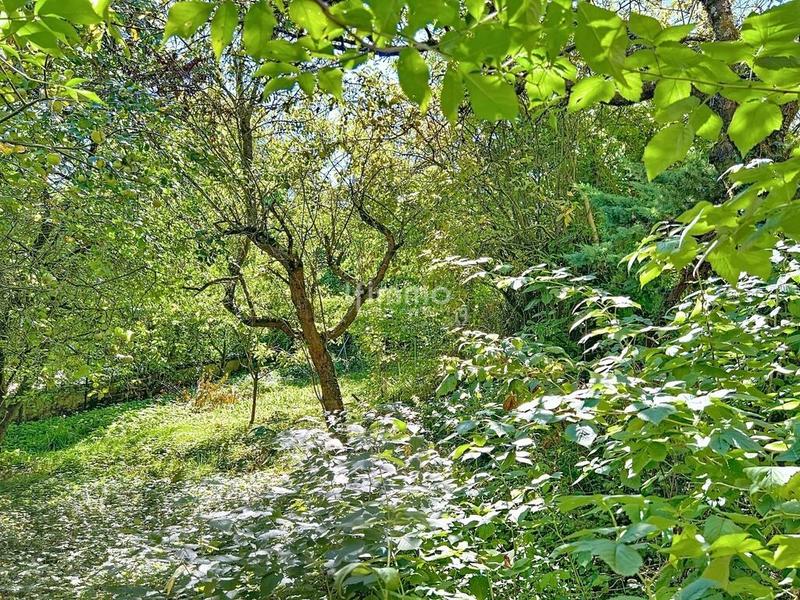 Maison - 290 m² - 11 pièces