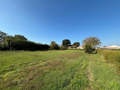 Terrain constructible - 1 455 m²