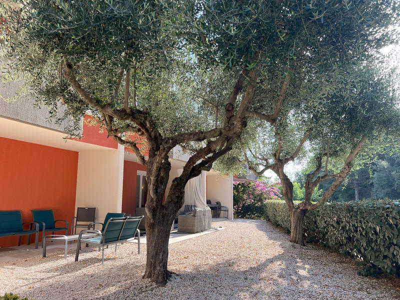 Appartement - 33 m² - 1 pièce