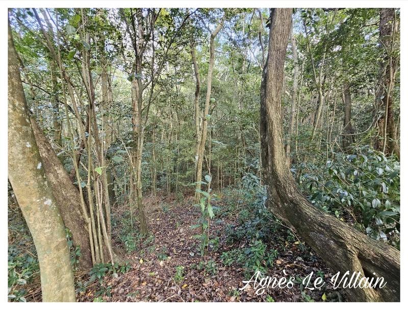 Terrain constructible - 3 123 m²