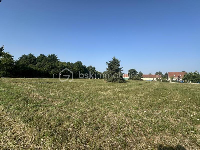 Terrain - 1 230 m²