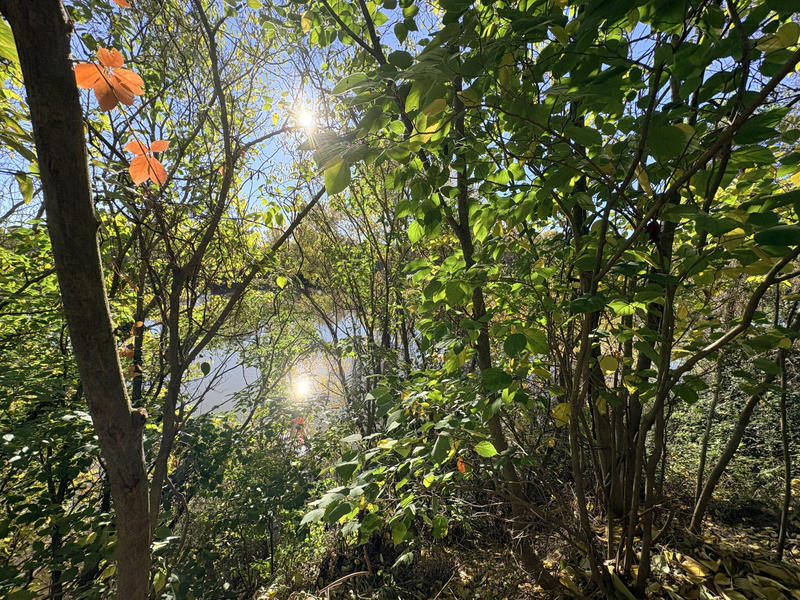 Maison de village - 54 m² - 3 pièces