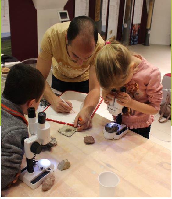 Atelier : les mystères de la fossilisation