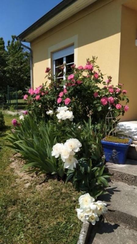 Villa - 175 m² - 8 pièces