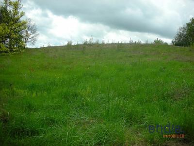 Terrain - 21 946 m²