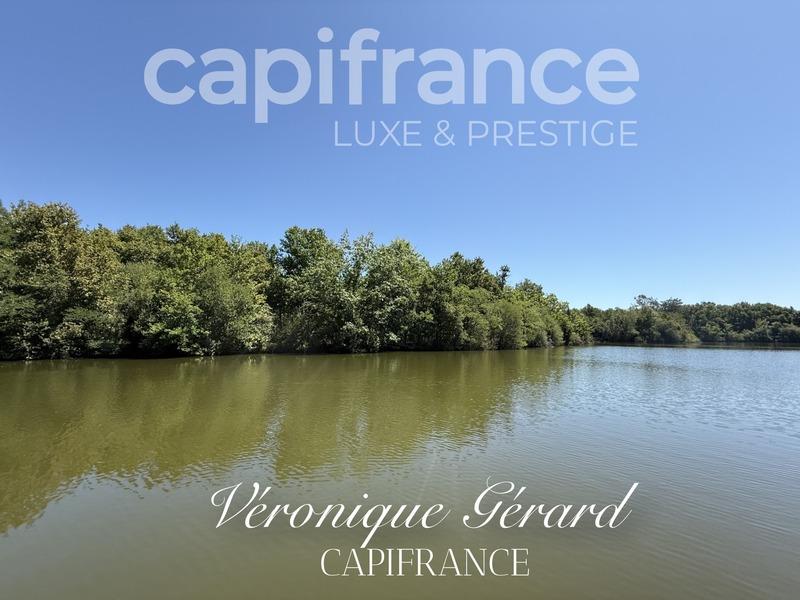 Propriété - 351 m² - 12 pièces