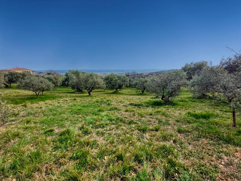 Propriété - 252 m² - 9 pièces